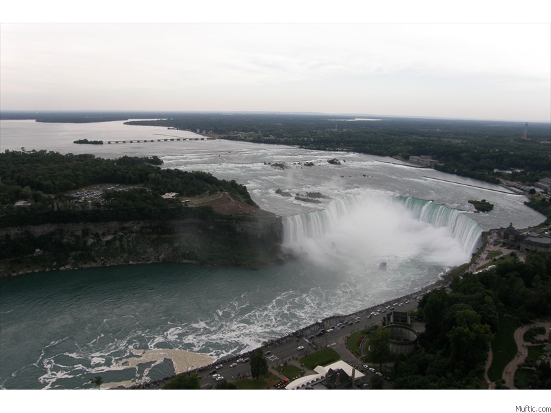 View from the Skylon Tower!