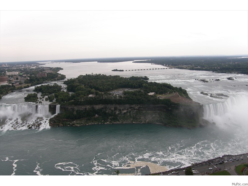 View from the Skylon Tower!