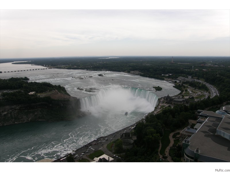 View from the Skylon Tower!