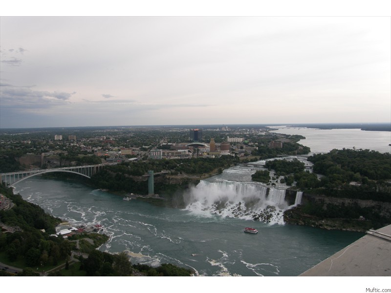 View from the Skylon Tower!