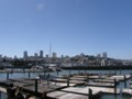 Pier 39 with sea lions