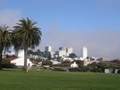 San Francisco view