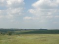 Typical Iowa landscape