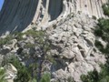 Devils Tower, WY