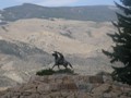 Buffalo Bill Monument, Cody, WY