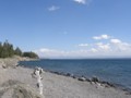 Yellowstone Lake