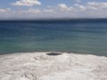 Hot spring and Yellowstone Lake