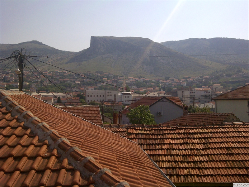Roofs of Cernica