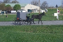 Amish County, PA